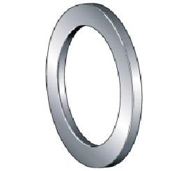 WS81114 INA Wellenscheibe Produktbild