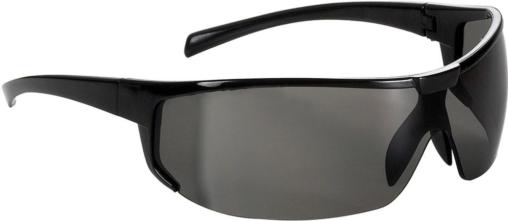 Bügelbrille Polaris, getönt,Rahmen schw., FORTIS Produktbild img1 L