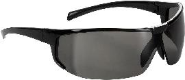 Bügelbrille Polaris, getönt,Rahmen schw., FORTIS Produktbild