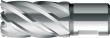 Kernbohrer kurz KBK HSS Schaft Weldon 18/30mm BDS Produktbild img1 S