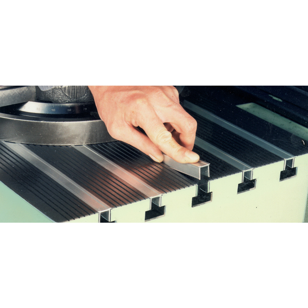 Abdeckleisten für T-Nuten Produktbild img2 L