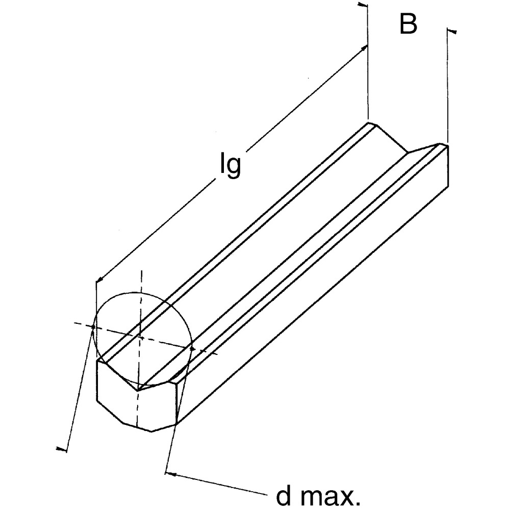 Einlegeprisma Typ P Produktbild img2 L