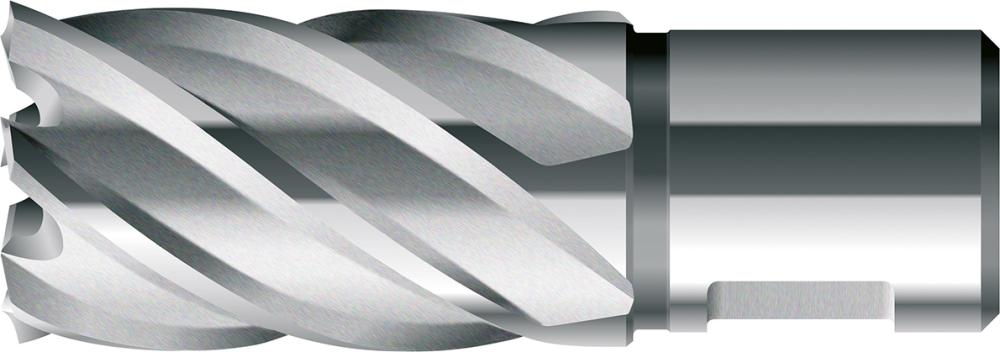 Kernbohrer kurz KBK HSS Schaft Weldon 13/30mm BDS Produktbild img1 L