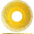 Radialschleifbürsten (Ersatzscheiben) Produktbild img1 S