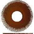 Radialschleifbürsten (Ersatzscheiben) Produktbild img1 S