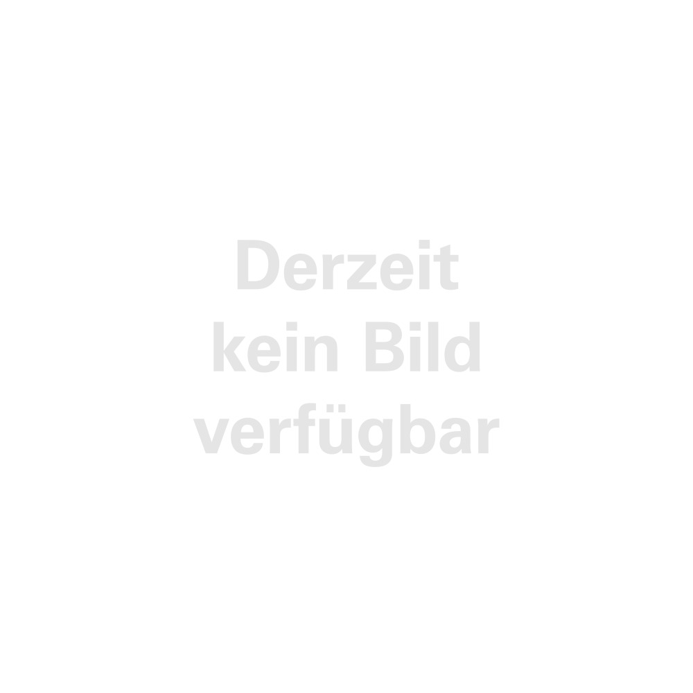Sägeband TCGRIT C301, 1440 x 13 mm Produktbild img1 L