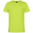 Herren Workwear T-Shirt - EXCD - Apple Green Produktbild img1 S