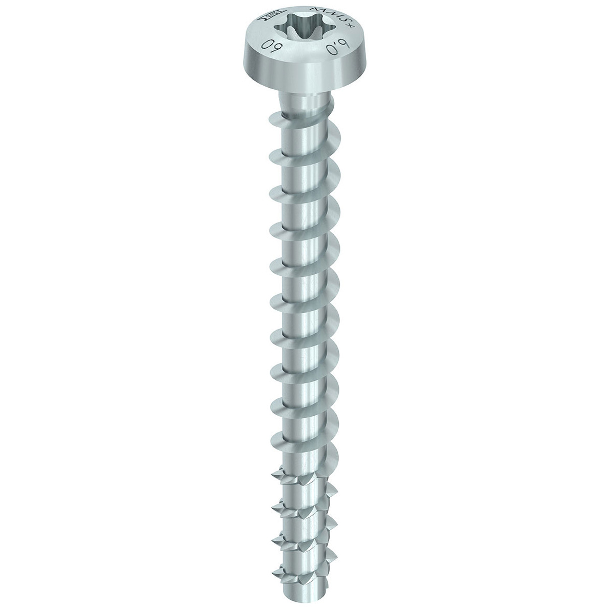 MULTI-MONTI-plus P 6,0 x 60, Rundkopf, T-Drive, A2K, 100 St. Produktbild img1 L