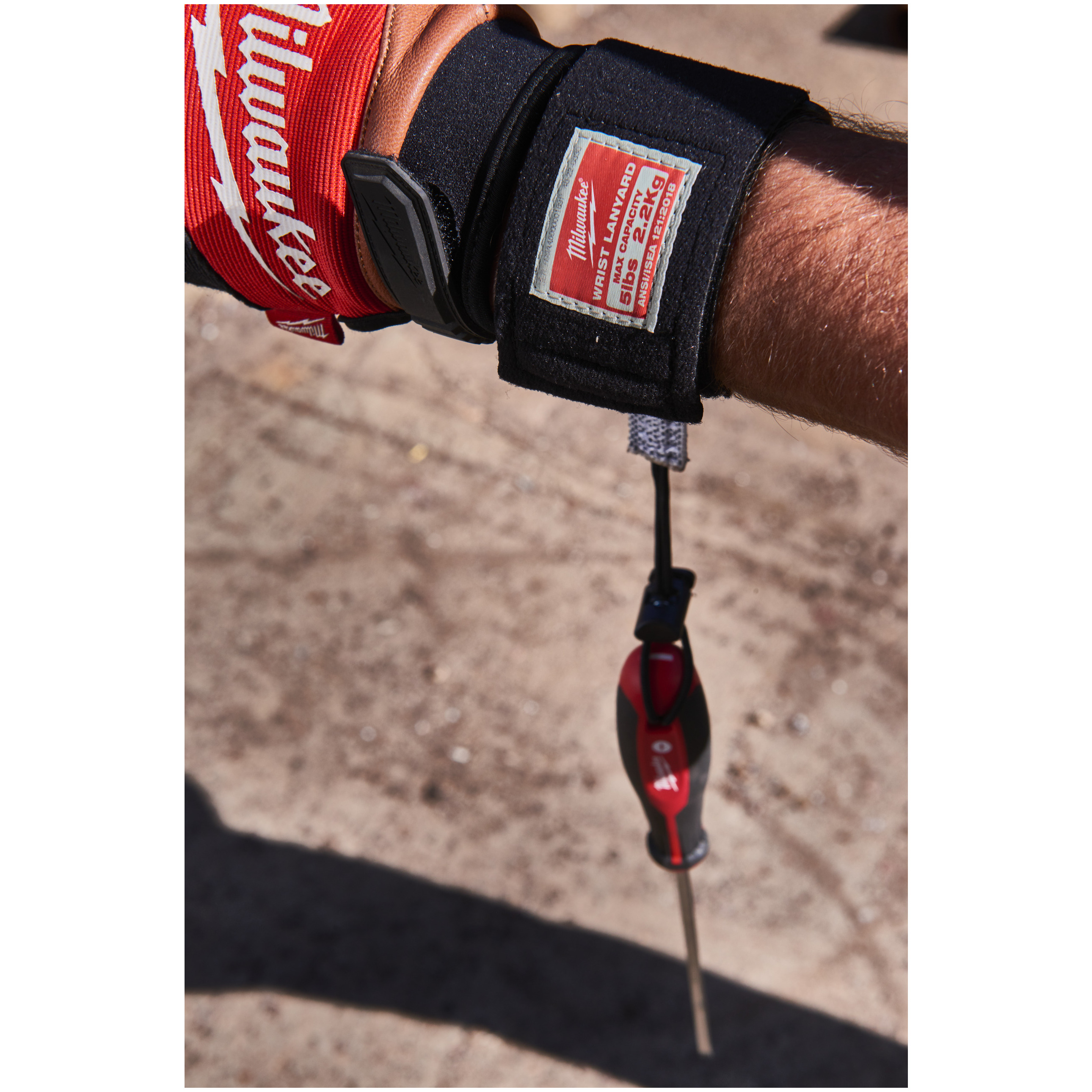 Handgelenk-Werkzeugsicherung bis 2,2 kg Produktbild img2 L