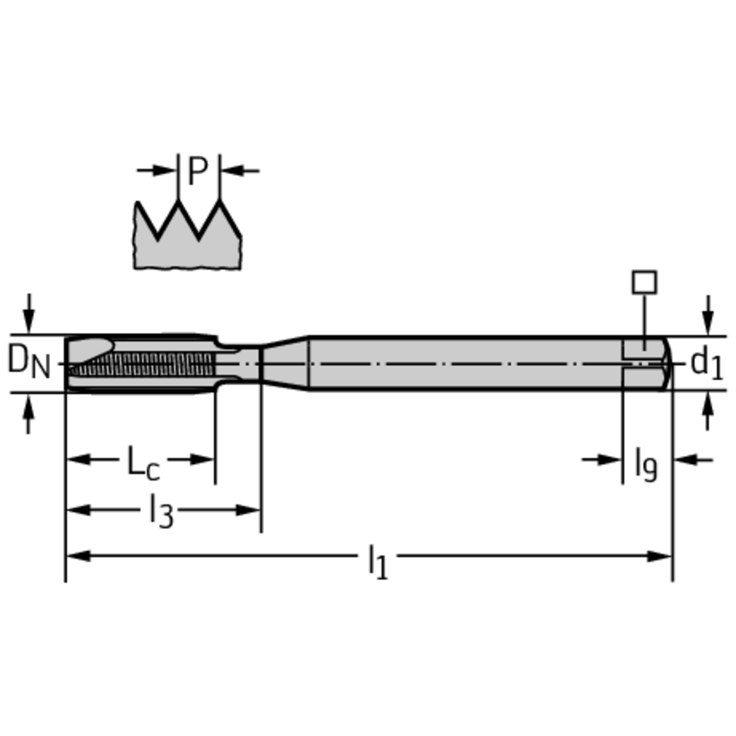 HSS-E-PM Maschinen-Gewindebohrer, ≤2xD, Walter Prototyp Produktbild img2 L