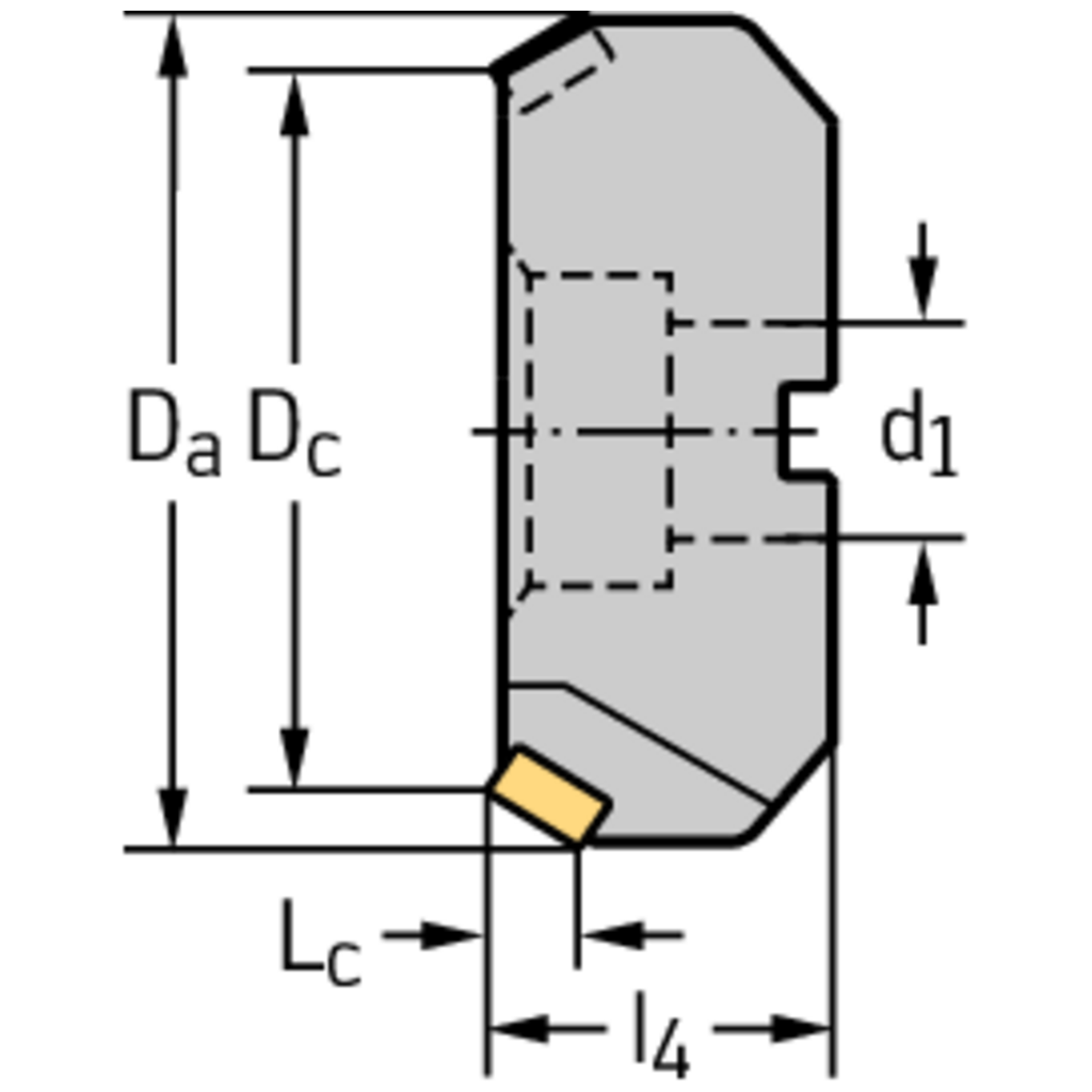 Planfräser für die Schwerzerspanung F2260.B.100.Z06.11 Produktbild img2 L