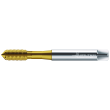 HSS-E Maschinen-Gewindeformer DP2064705-M2.5 Produktbild