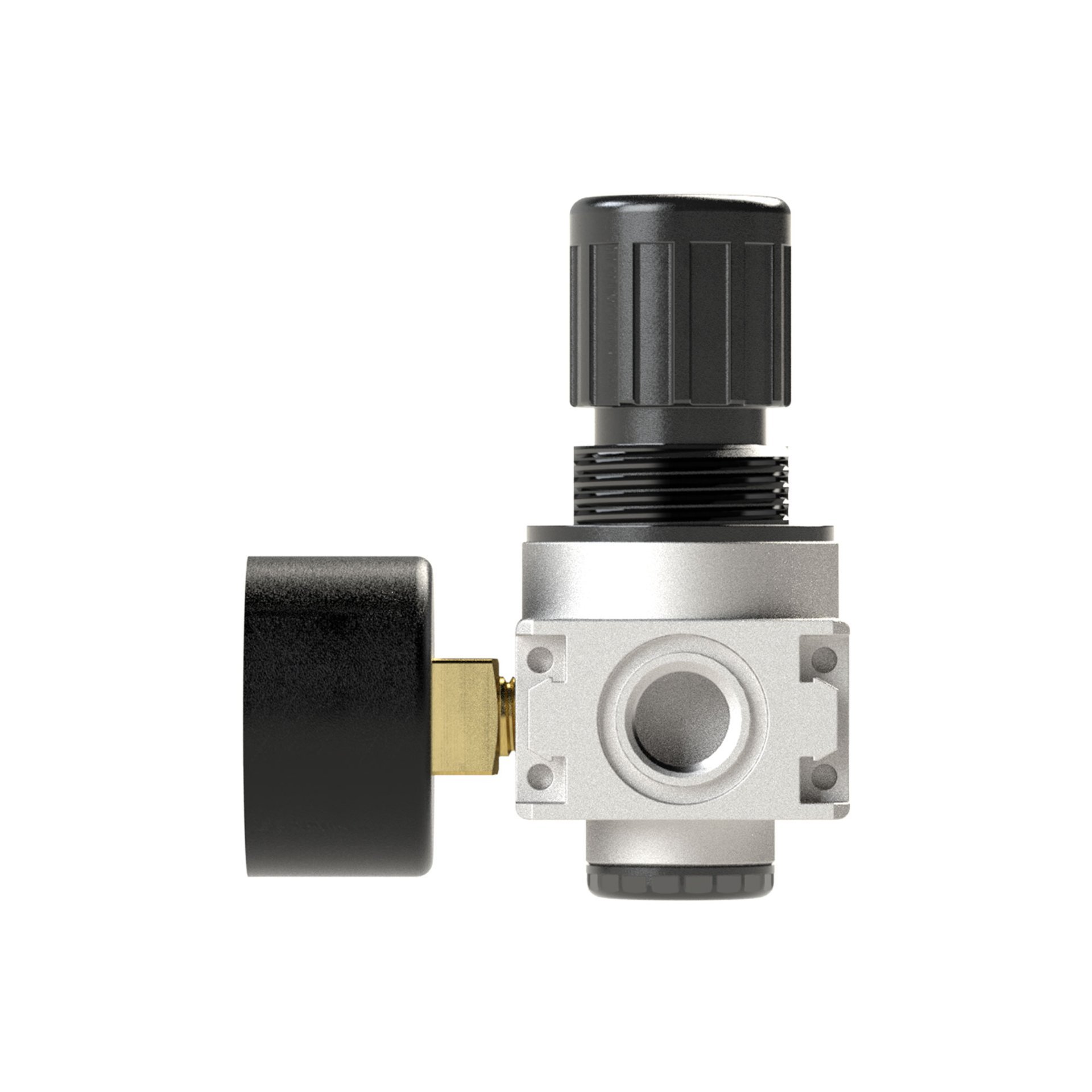 RIEGLER Druckregler »multifix-mini« inkl. Mano, BG 0, G 1/4, 0,1 - 3 bar Produktbild img6 L
