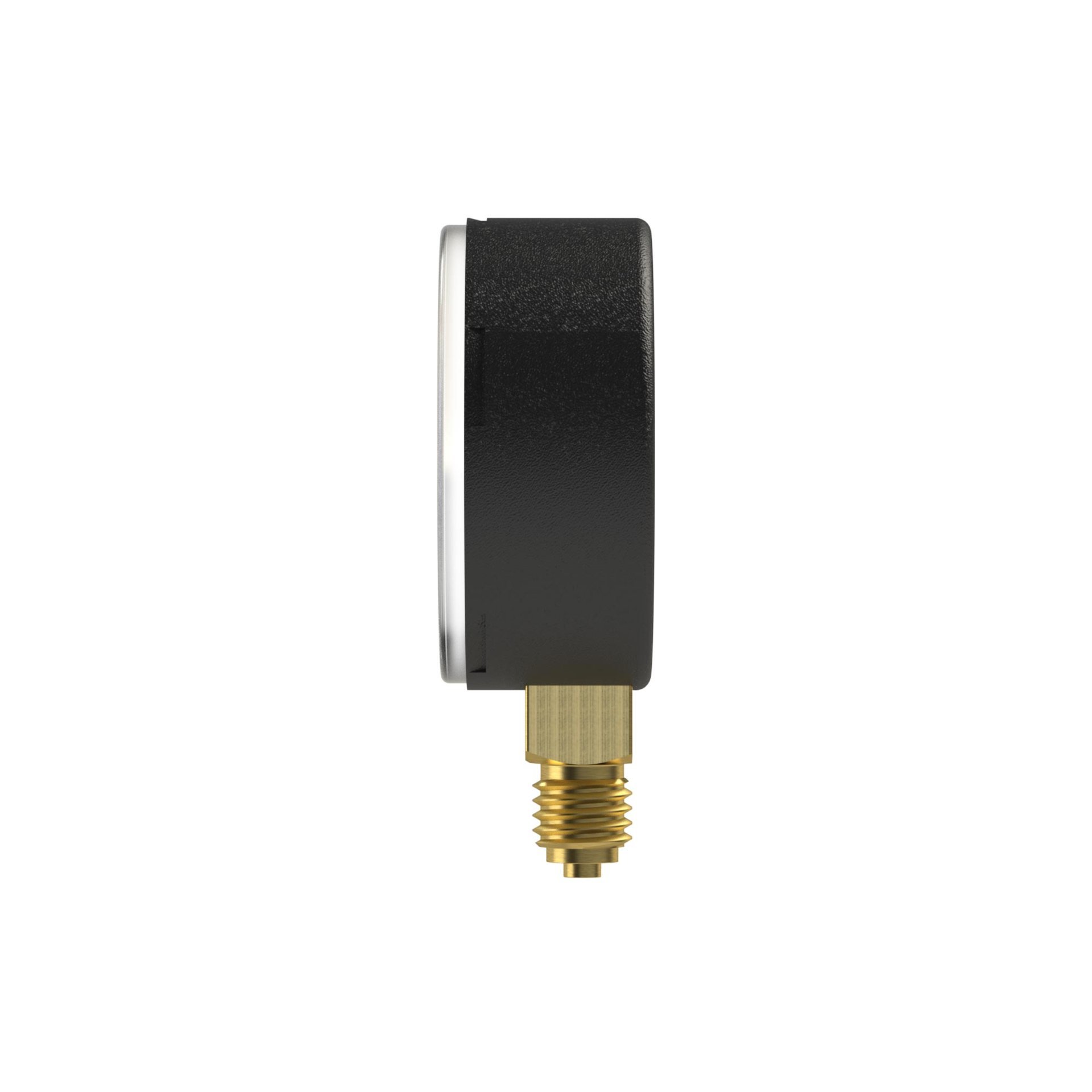 RIEGLER Standardmanometer, Stahlblechgeh., G 1/4 unten, 0 - 1,6 bar, Ø 50 Produktbild img4 L