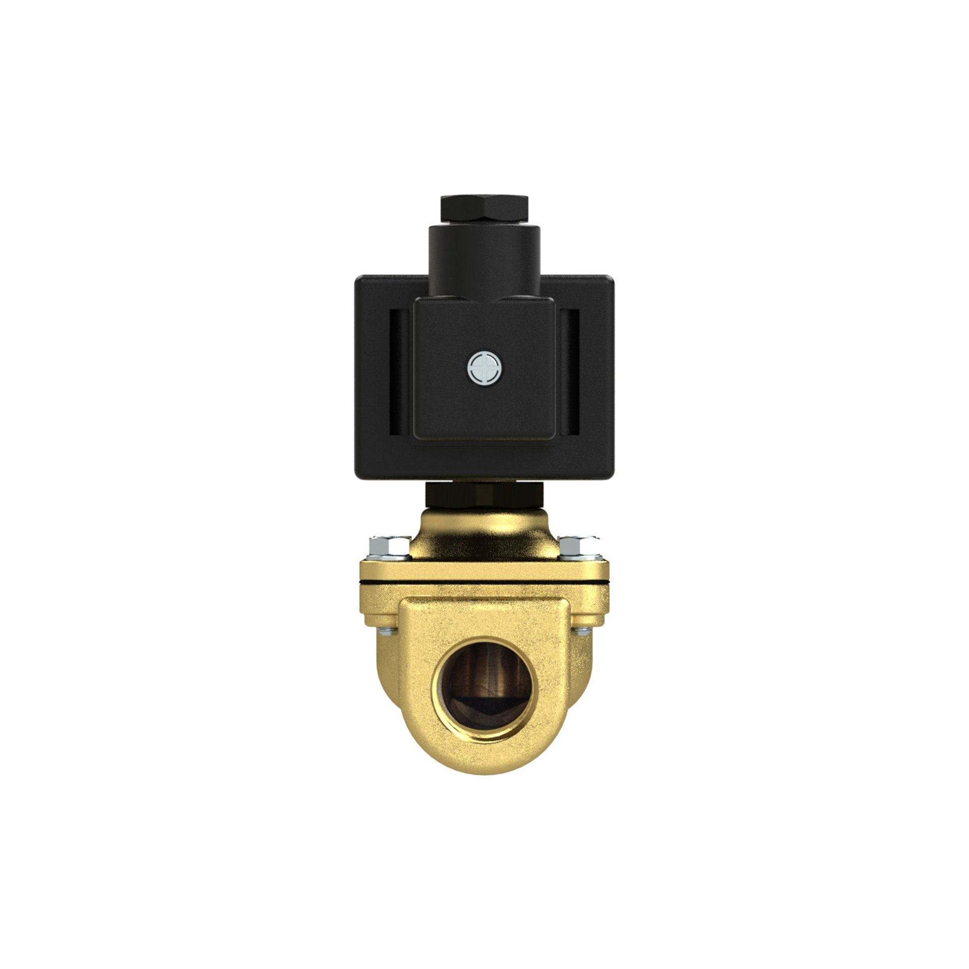 RIEGLER 2/2-MV,MS,NC,zwangsg.,24V DC, 14W,NBR+PA, G3/4, PN 0-14bar Produktbild img4 L