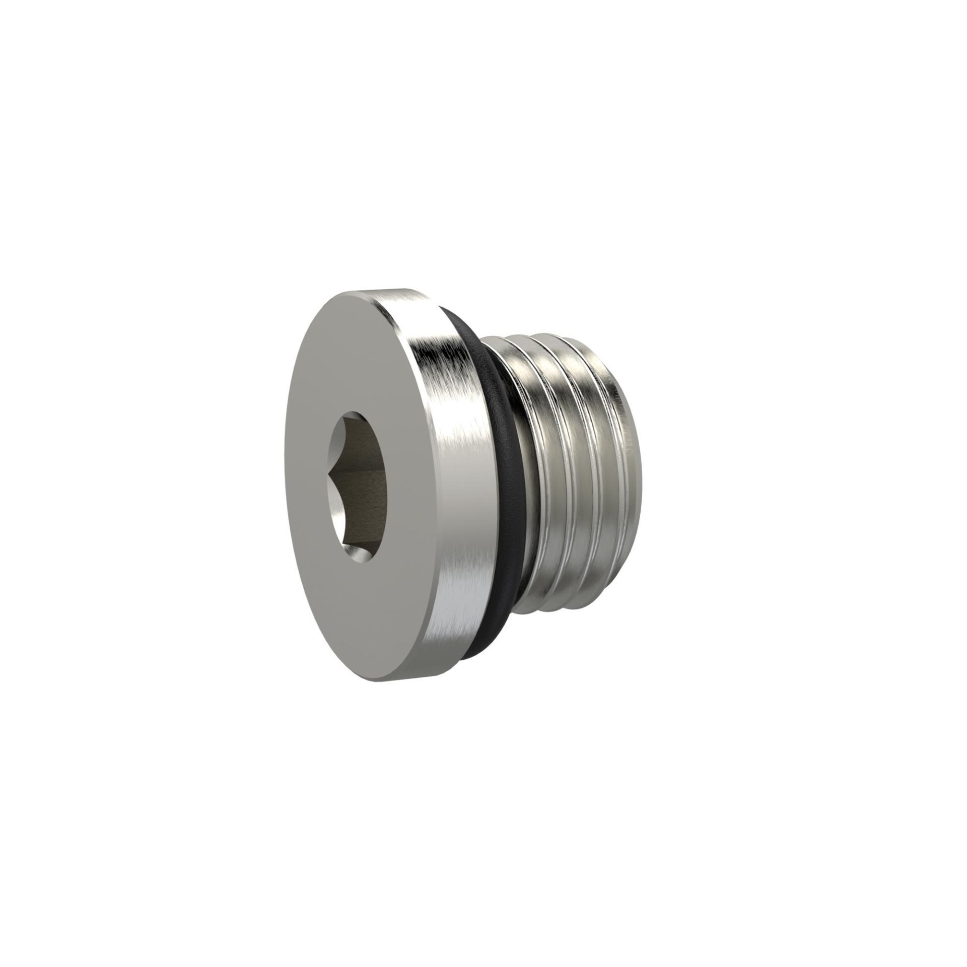 RIEGLER Verschlussschraube, Innensechskant 6 mm, G 1/4, NBR O-Ring, MSN Produktbild img1 L