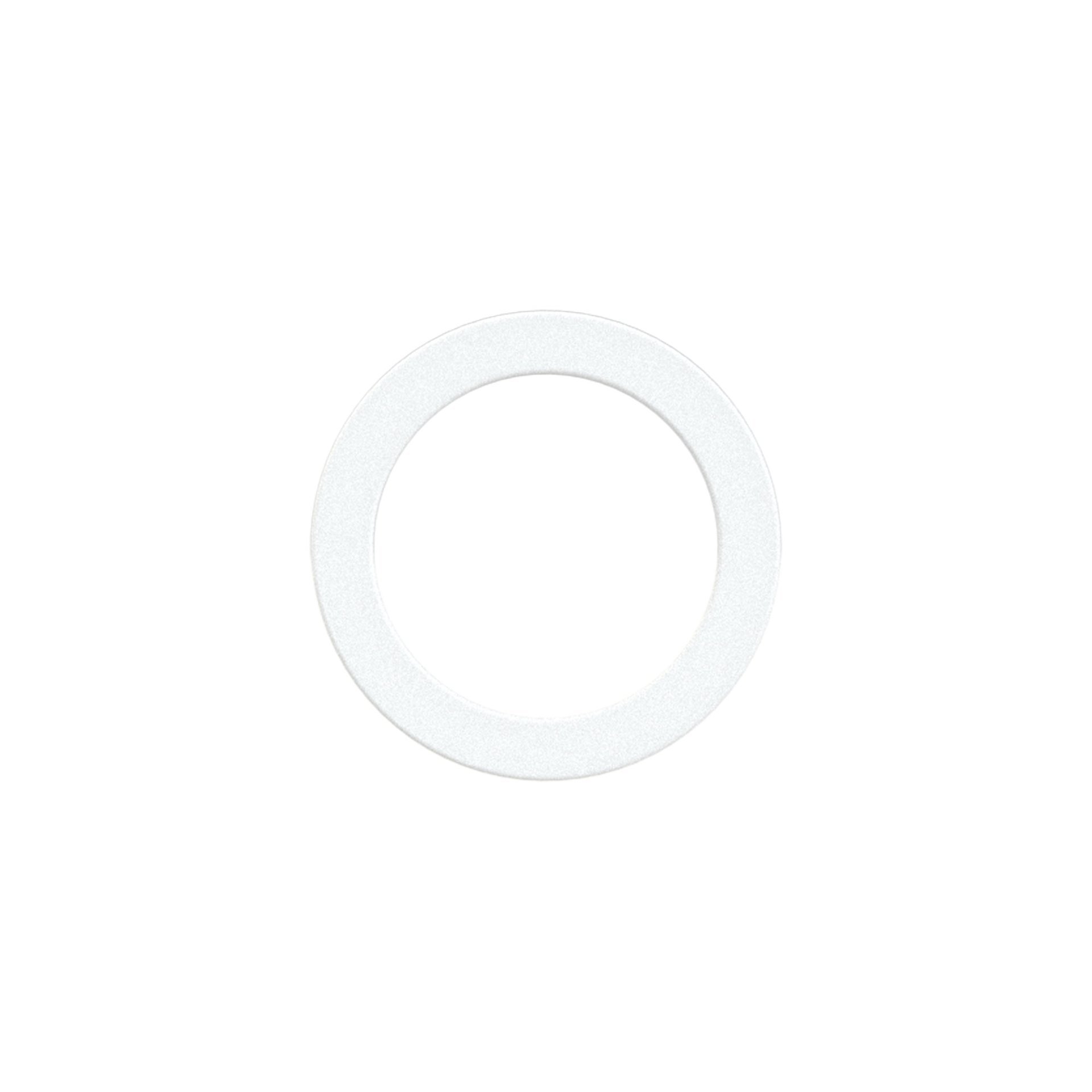 RIEGLER Dichtring aus Polyamid, für Gewinde G 1/4, VPE 100 Stk. Produktbild img1 L