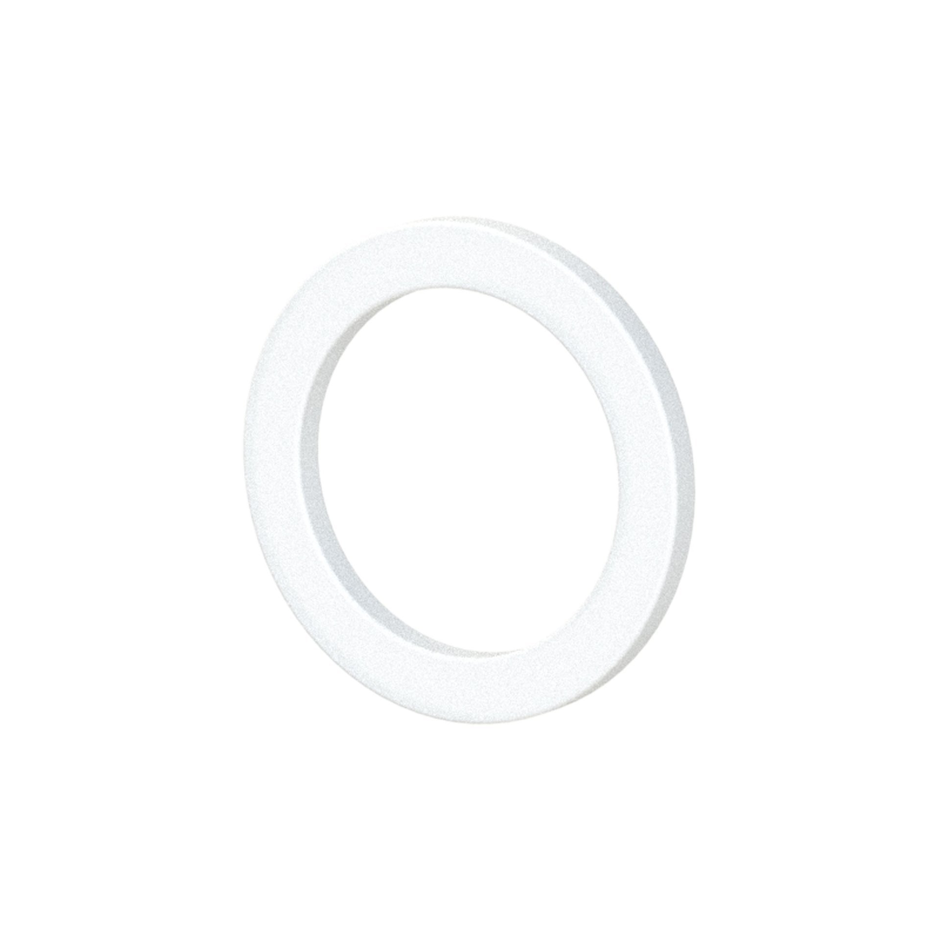 RIEGLER Dichtring aus PTFE, für Gewinde G 1/4, VPE 100 Stk. Produktbild img1 L