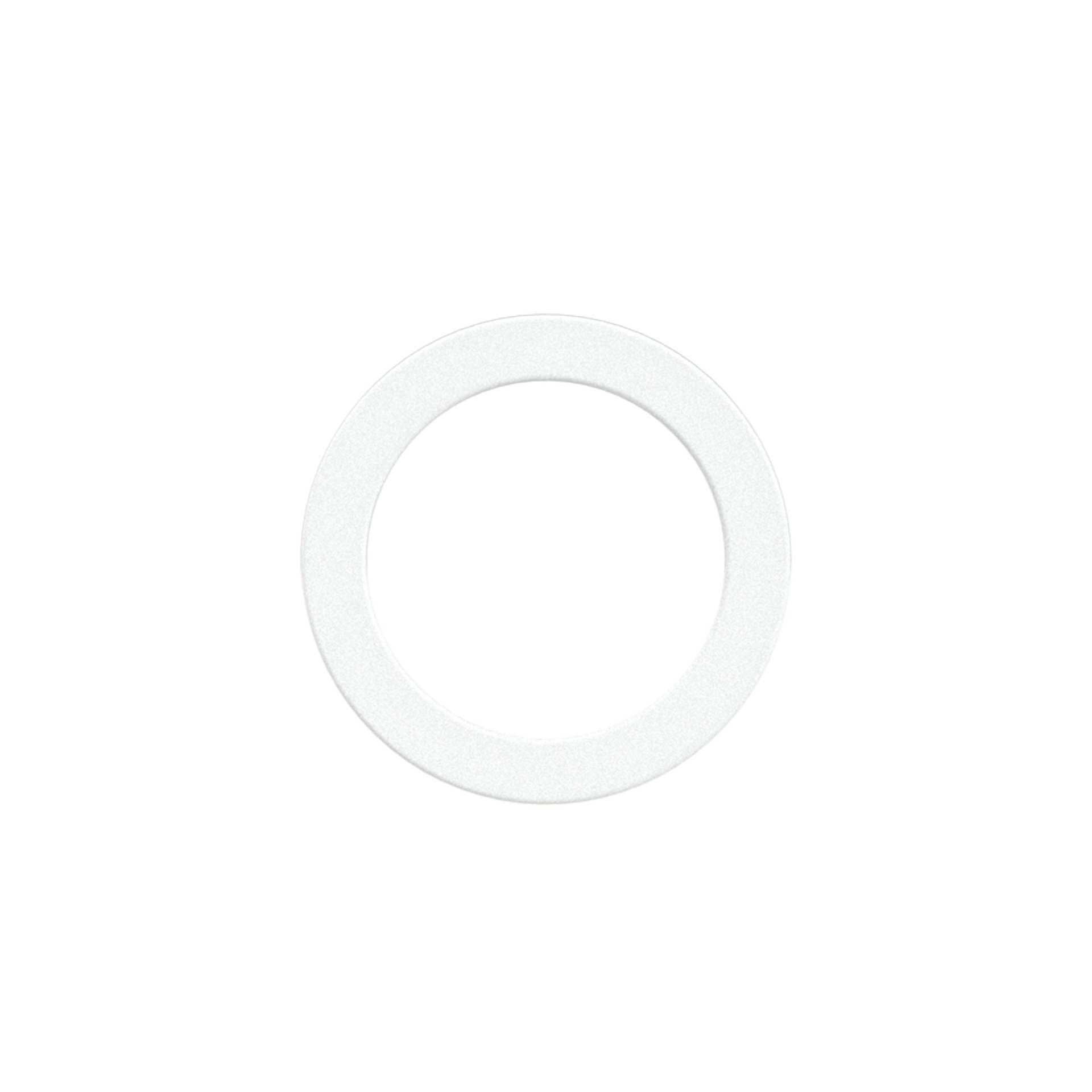 RIEGLER Dichtring aus PTFE, für Gewinde G 1/4, VPE 100 Stk. Produktbild img4 L
