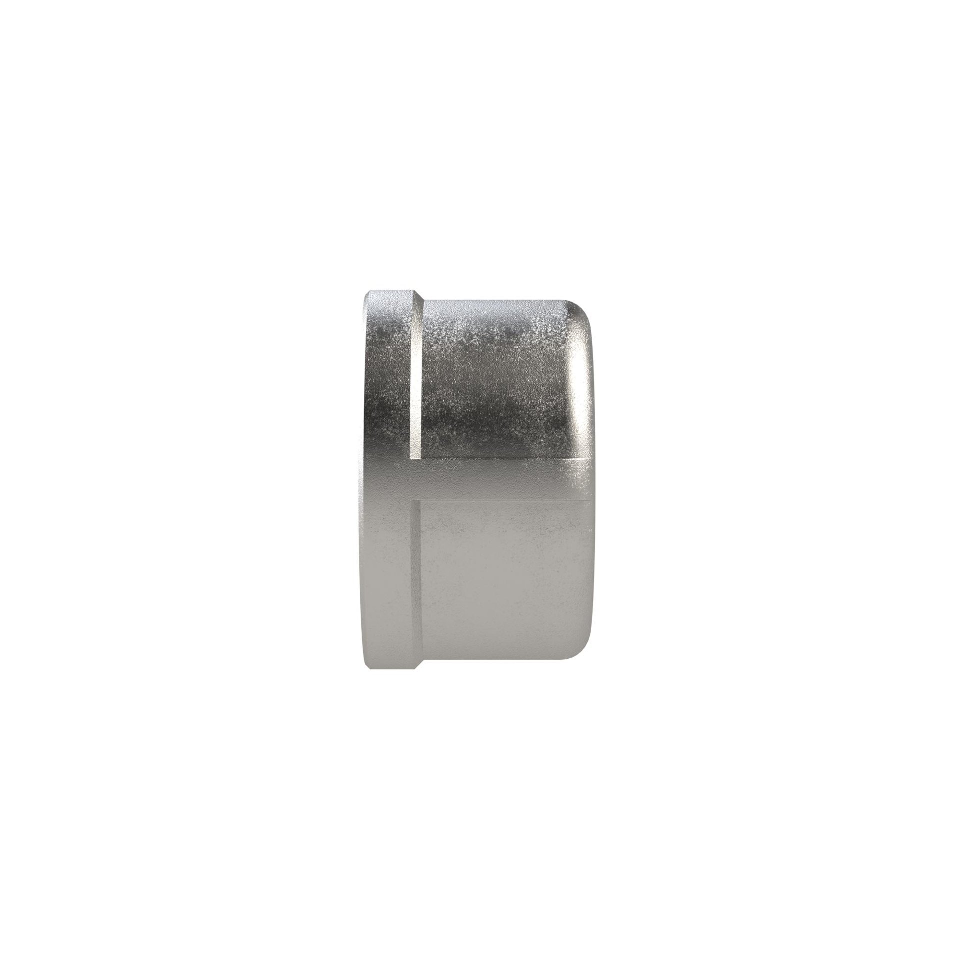 RIEGLER Verschlusskappe, rund Rp 1 1/2, IG, ES 1.4408 Produktbild img3 L