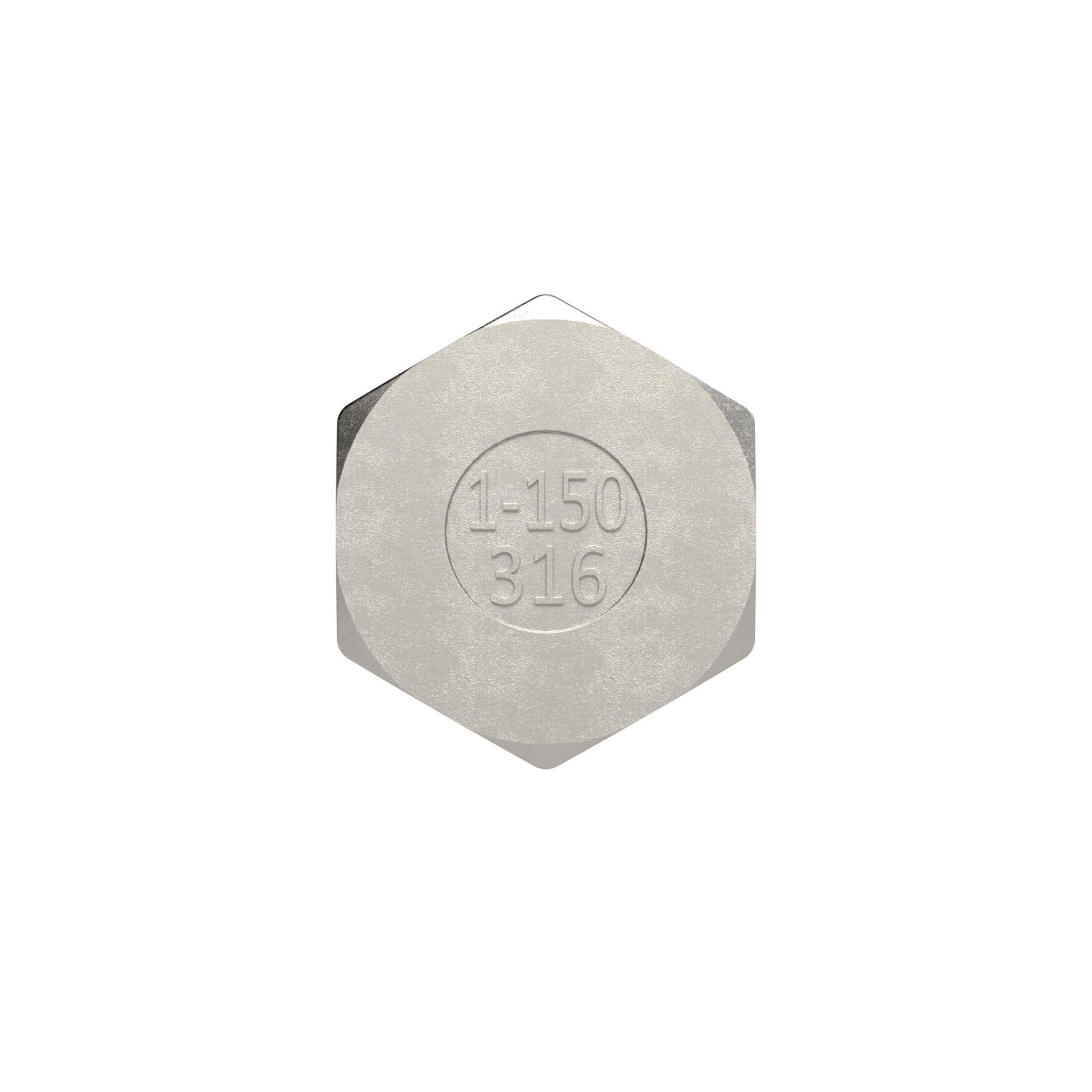 RIEGLER Verschlusskappe, Sechskant G 1 1/4, IG, SW 46, ES 1.4408 Produktbild img4 L