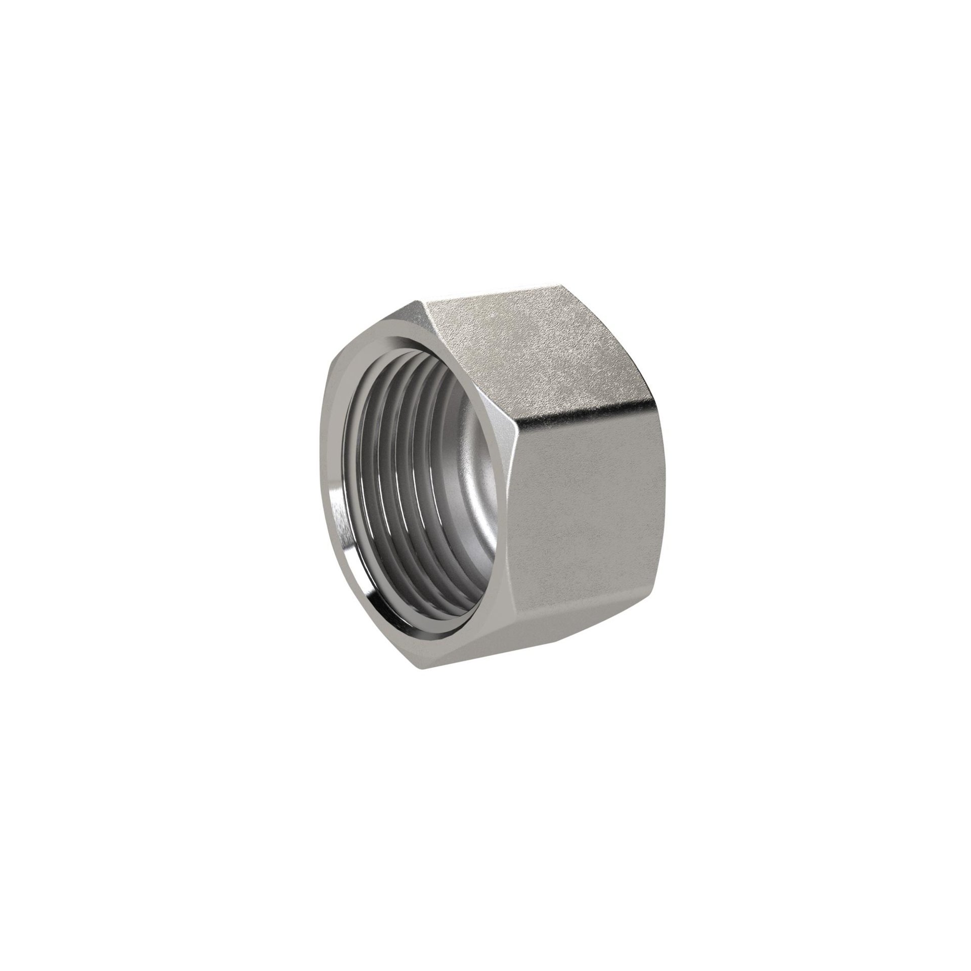 RIEGLER Verschlusskappe, Sechskant G 1 1/4, IG, SW 46, ES 1.4408 Produktbild img1 L