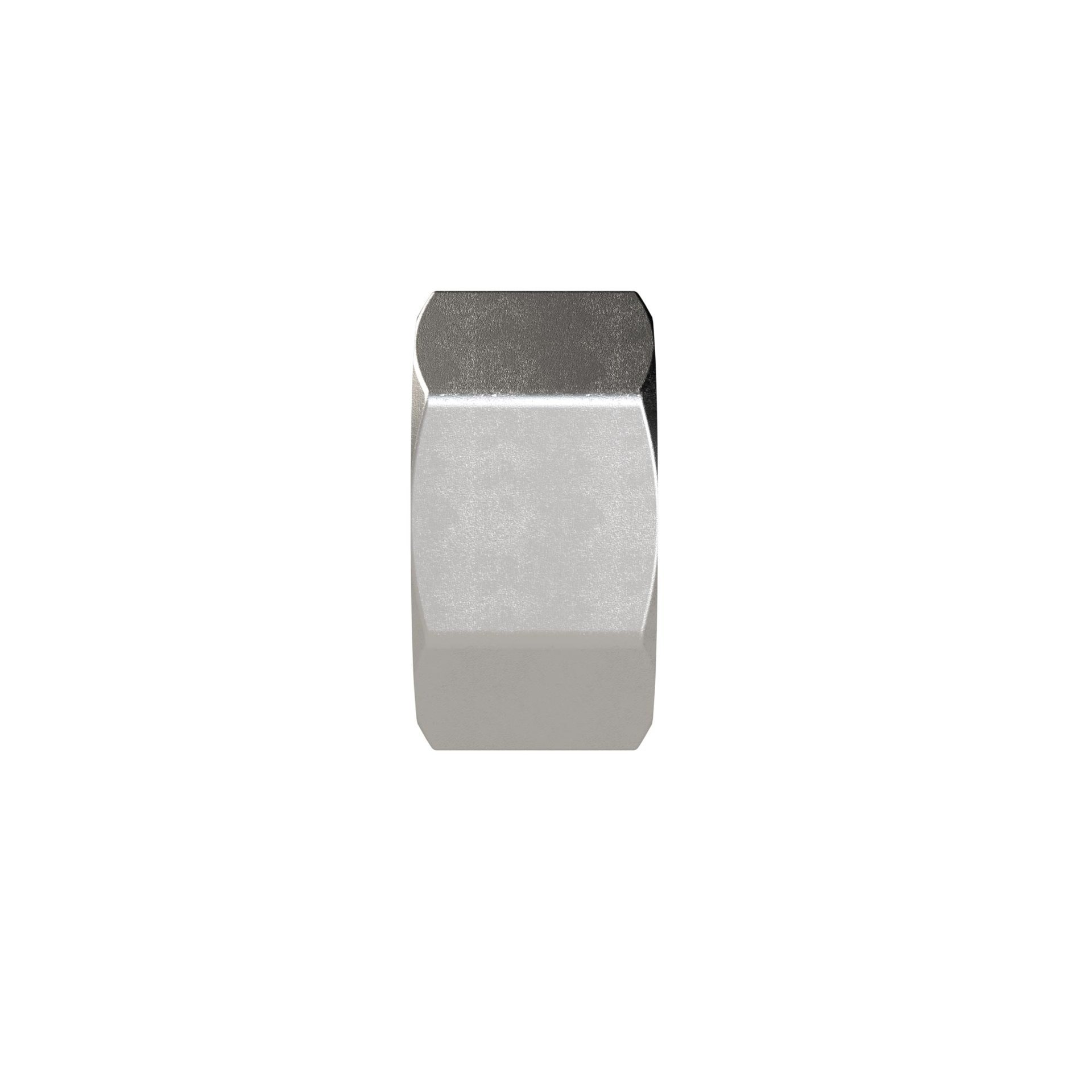 RIEGLER Verschlusskappe, Sechskant G 1 1/4, IG, SW 46, ES 1.4408 Produktbild img3 L