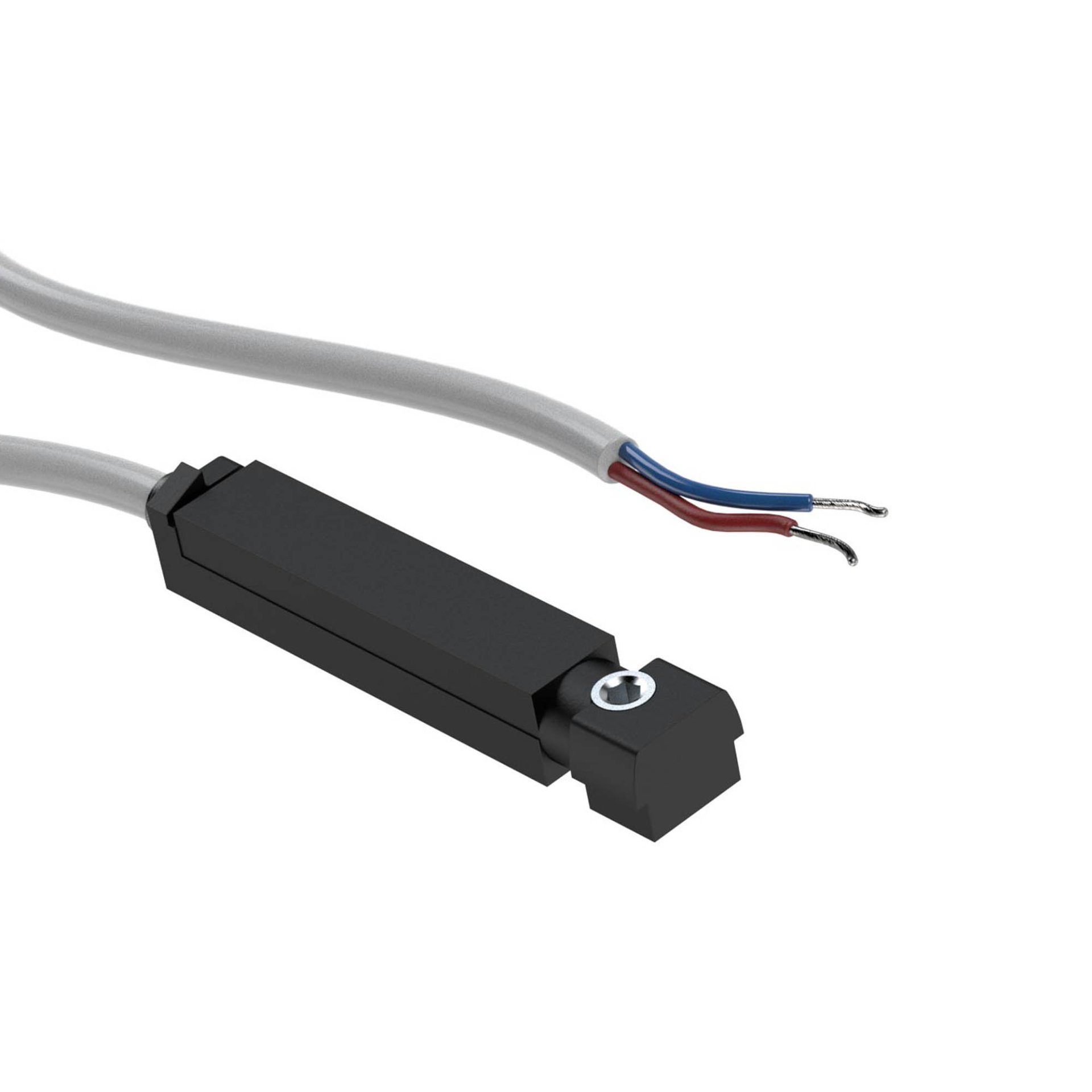 RIEGLER REED-Sensor, 2-Draht, 5m Kabel, 5-130V AC/DC, 6W, NO, LED Produktbild img1 L