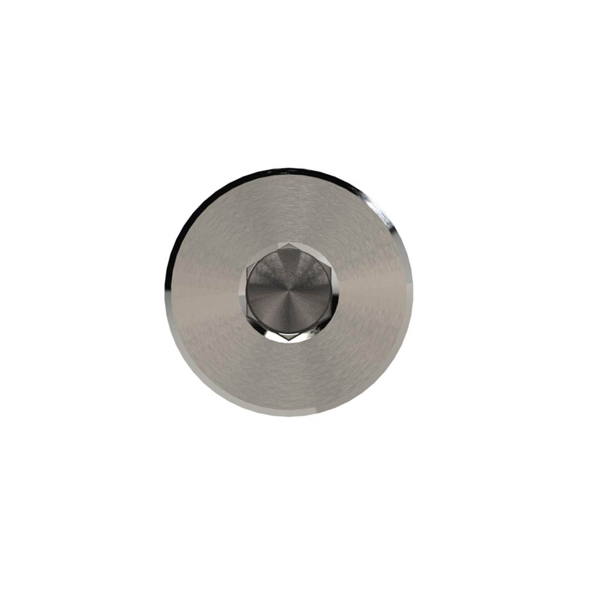 RIEGLER Verschlussschraube »NonPlusUltra«, ISK, G3/8, SW8, VPE10 Produktbild img5 L