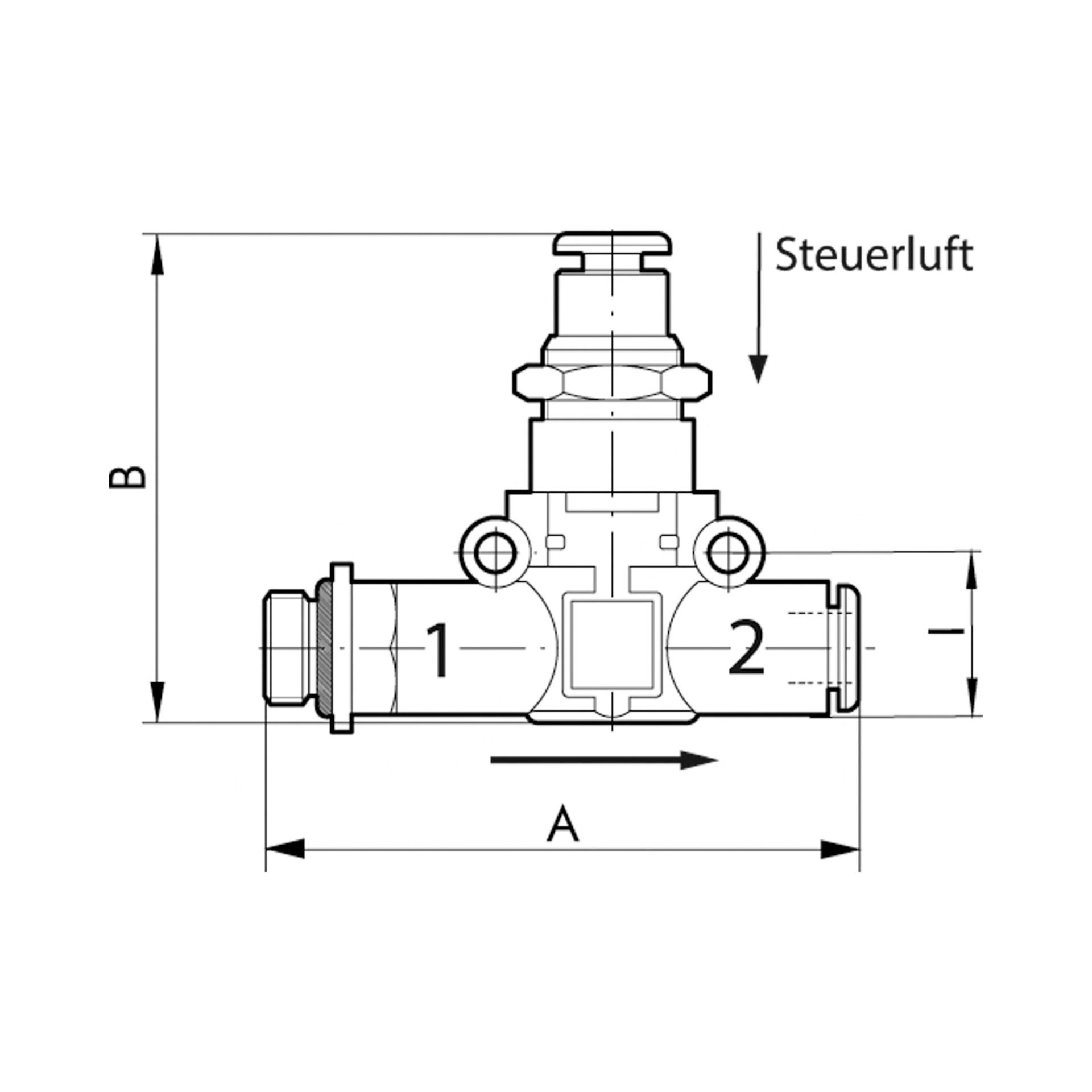 RIEGLER pneumatisch entsperrbares Rückschlagventil Gewinde-Schlauch , G 1/4, Schl.6 Produktbild img2 L