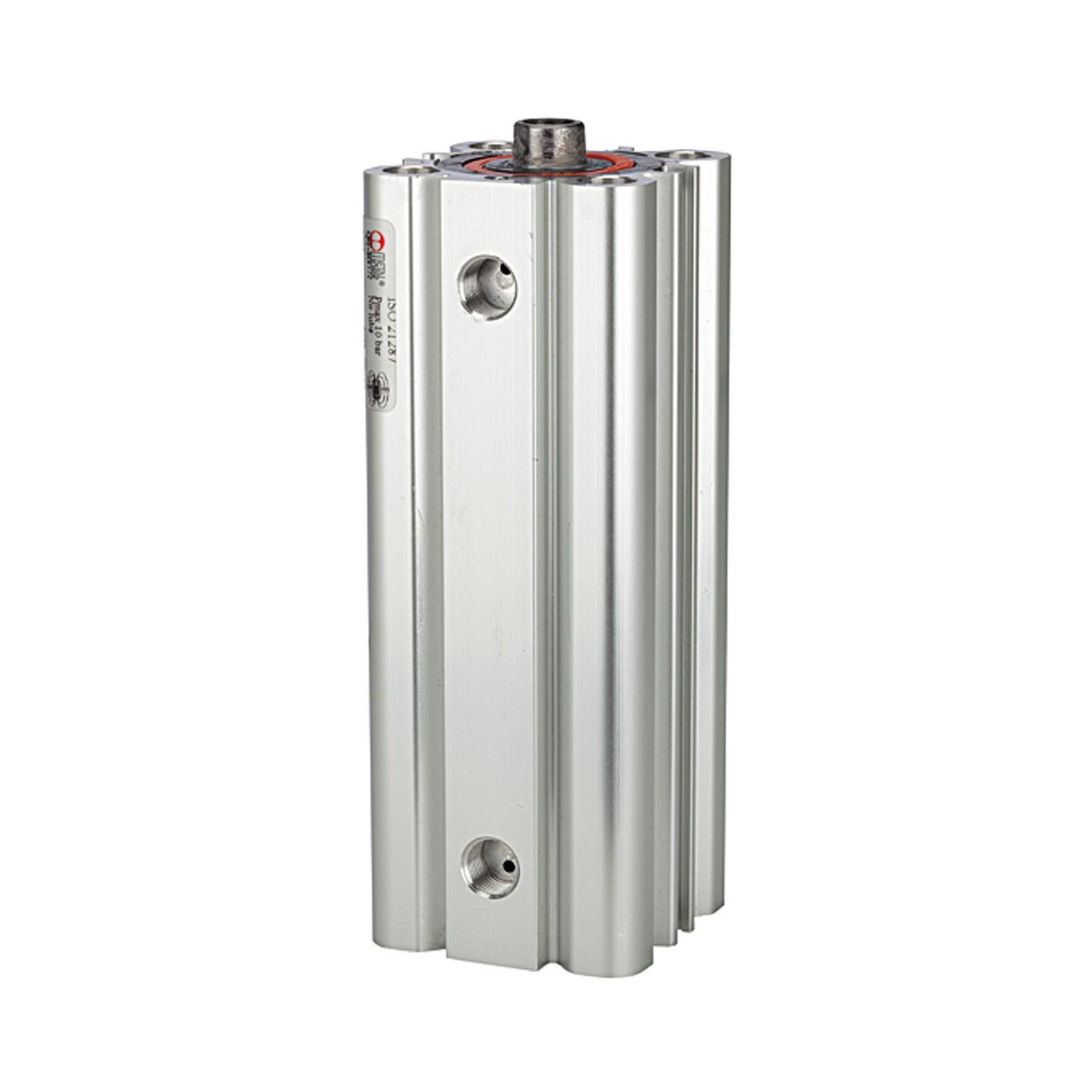 RIEGLER Kompaktzylinder LINER, doppeltwirkend , IG, Kol.-Ø 80, Hub 25, G 1/8 Produktbild img1 L