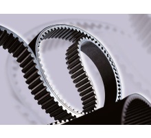 544-RPP8-50 Neopren-Zahnriemen, RPP Produktbild img1 L