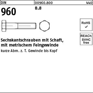 DIN 960 8.8 M 24 x 2 x 100 VE=S Produktbild img1 L