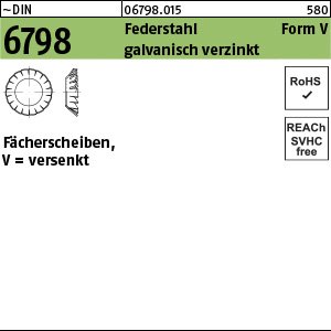 DIN 6798 Federstahl V 13 galv. verzinkt gal Zn VE=K Produktbild img1 L