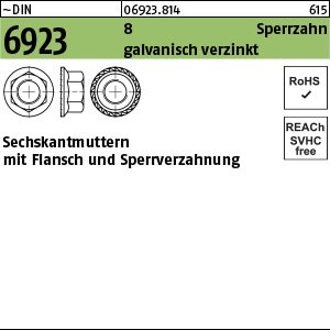 Reyher ~DIN 6923 8 Sperrzahn galvanisch verzinkt Sechskantmuttern mit Sperrverzahnung und Flansch Produktbild img1 L