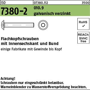 Reyher ISO 7380-2 010.9 galvanisch verzinkt Flachkopfschrauben mit Innensechskant und Bund Produktbild img1 L