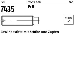 Reyher ISO 7435 14 H Gewindestifte mit Schlitz und Zapfen Produktbild img1 L