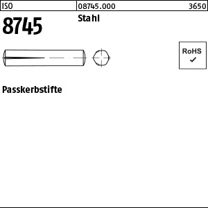 ISO 8745 Stahl 4 x 20 VE=S Produktbild img1 L