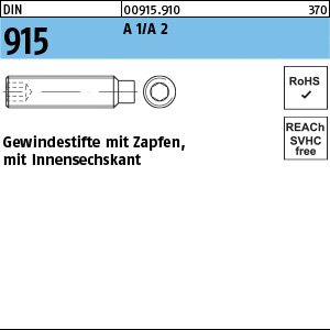 Reyher DIN 915 A 1/A 2 Gewindestifte mit Zapfen, mit Innensechskant Produktbild img1 L