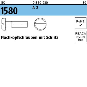 ISO 1580 A 2 M 6 x 25 A 2 VE=S Produktbild img1 L