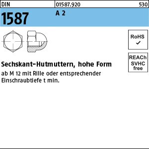 Reyher DIN 1587 A 2 Sechskant-Hutmuttern, hohe Form Produktbild img1 L