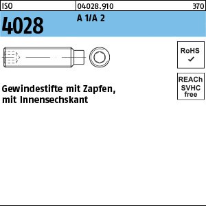 ISO 4028 A 2 M 10 x 16 rostfrei A 1/A 2 VE=S Produktbild img1 L