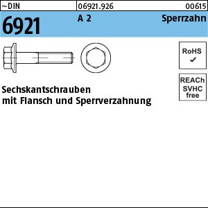 DIN 6921 A 2 M 6 x 12 mit Sperrverzahnung VE=S Produktbild img1 L