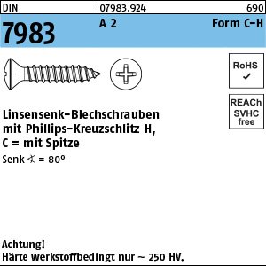 DIN 7983 A 2 5,5 x 50 -C-H A 2 VE=K Produktbild img1 L