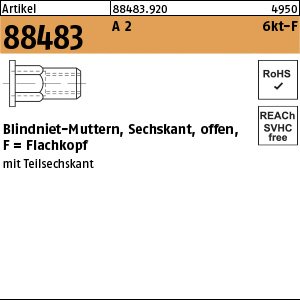 Reyher Artikel 88483 A 2 6kt-F Blindniet-Muttern, Sechskant, offen, Flachkopf Produktbild img1 L