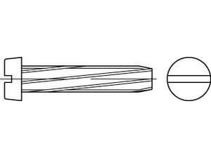 DIN 7513 Stahl B M 4 x 16 galv. verzinkt gal Zn VE=S Produktbild img2 L