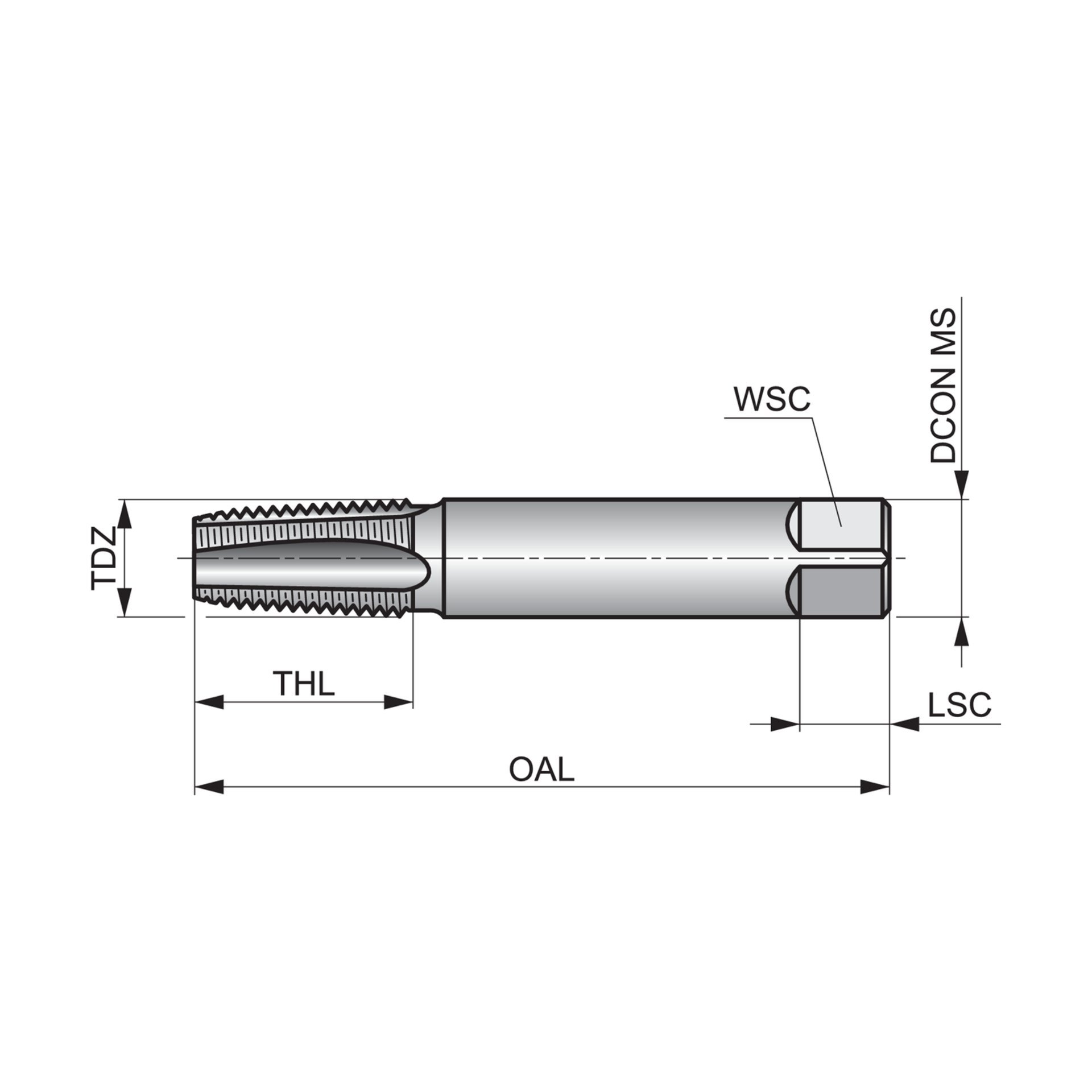 HSS Gerade genuteter Handgewindebohrer, Rc(BSPT), ISO Standard E550 Produktbild img3 L