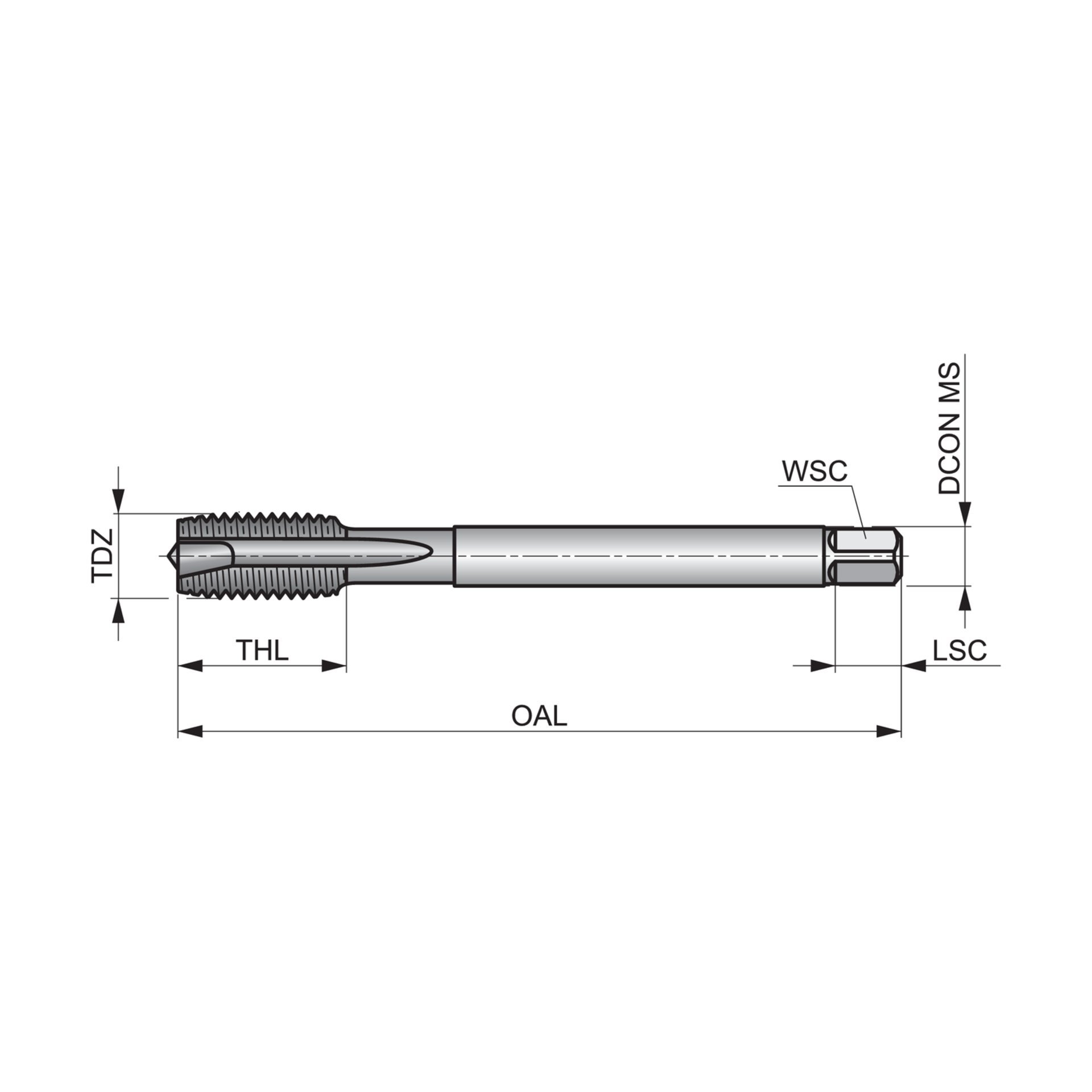 MF  Maschinen-Gewindebohrer, Geradegenutet mit Schälanschnitt EP10M5X.5 Produktbild img3 L