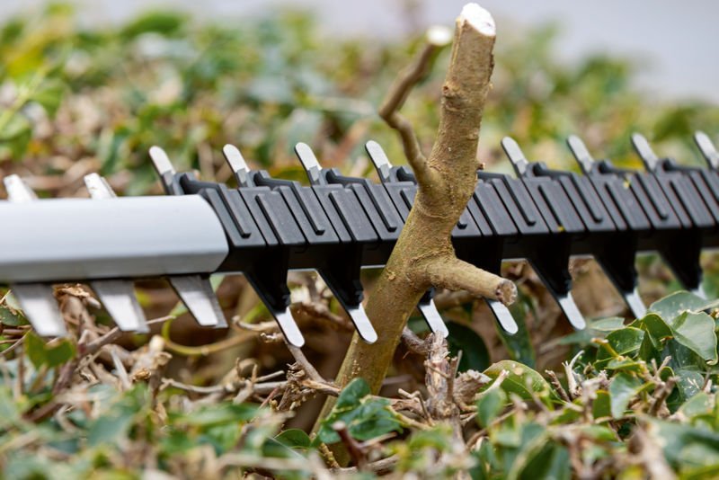 Akku-Heckenschere GHE 18V-60 Produktbild img6 L