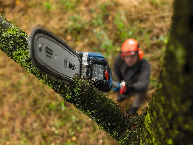 Bosch Zubehör für Akku-Kettensäge Ersatzkette 25 cm 1,1 mm Professional Produktbild img2 L